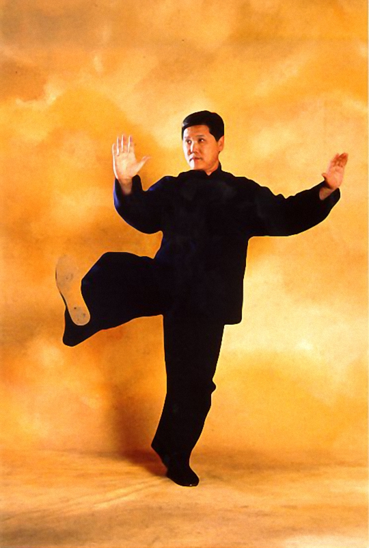 Tung Kai Ying - Coup de pied sur le côté droit